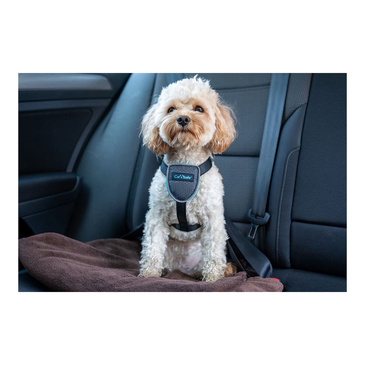 Hundegeschirr Company of Animals CarSafe Schwarz XS - Thumbnail 6