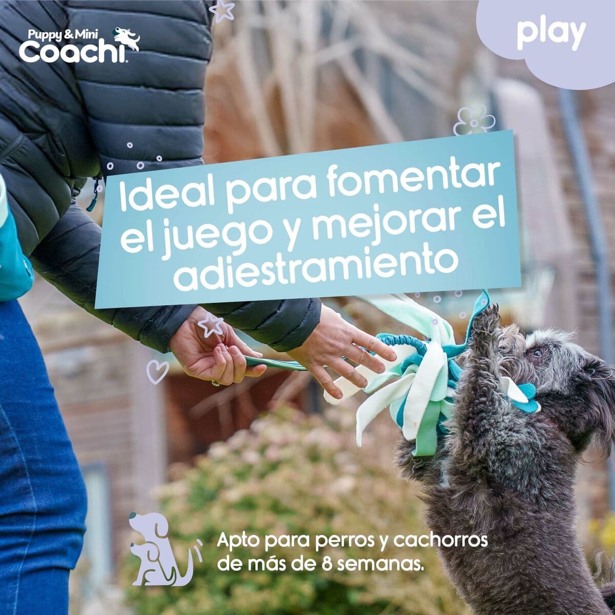 Hundegeschirr Coachi - Thumbnail 3
