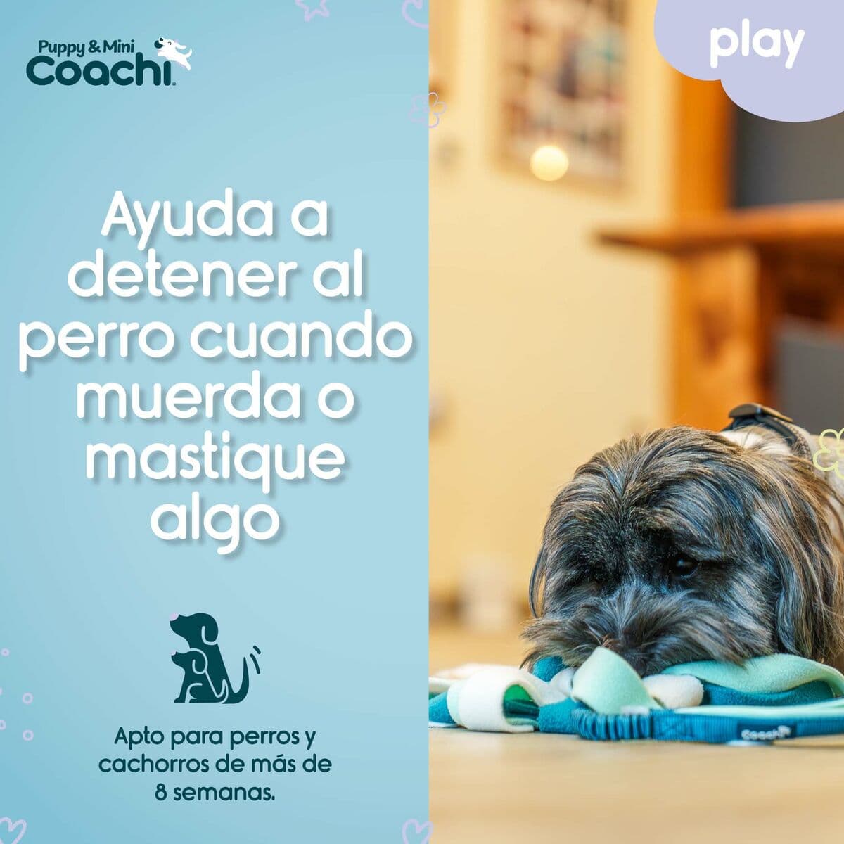 Hundegeschirr Coachi - Thumbnail 4