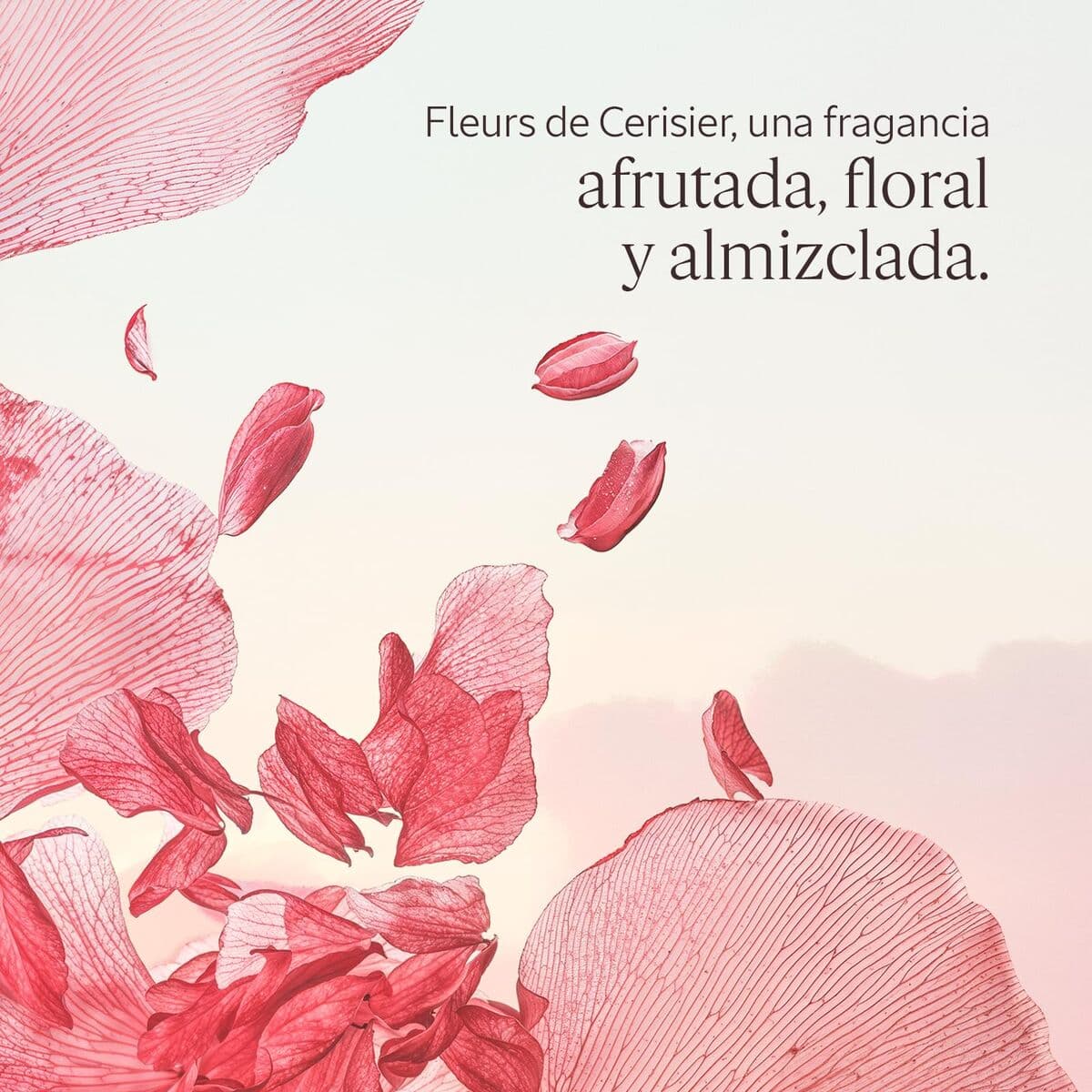 Duschgel L'Occitane En Provence FLEURS DE CERISIER - Thumbnail 3