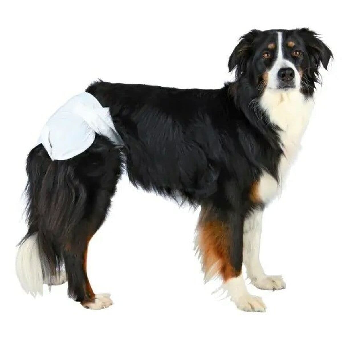 Windeln Trixie 23634 Hund M/L - Thumbnail 2