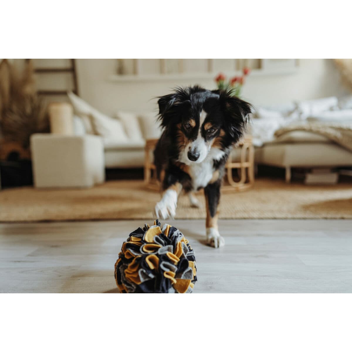 Hundespielzeug Hunter - Thumbnail 3