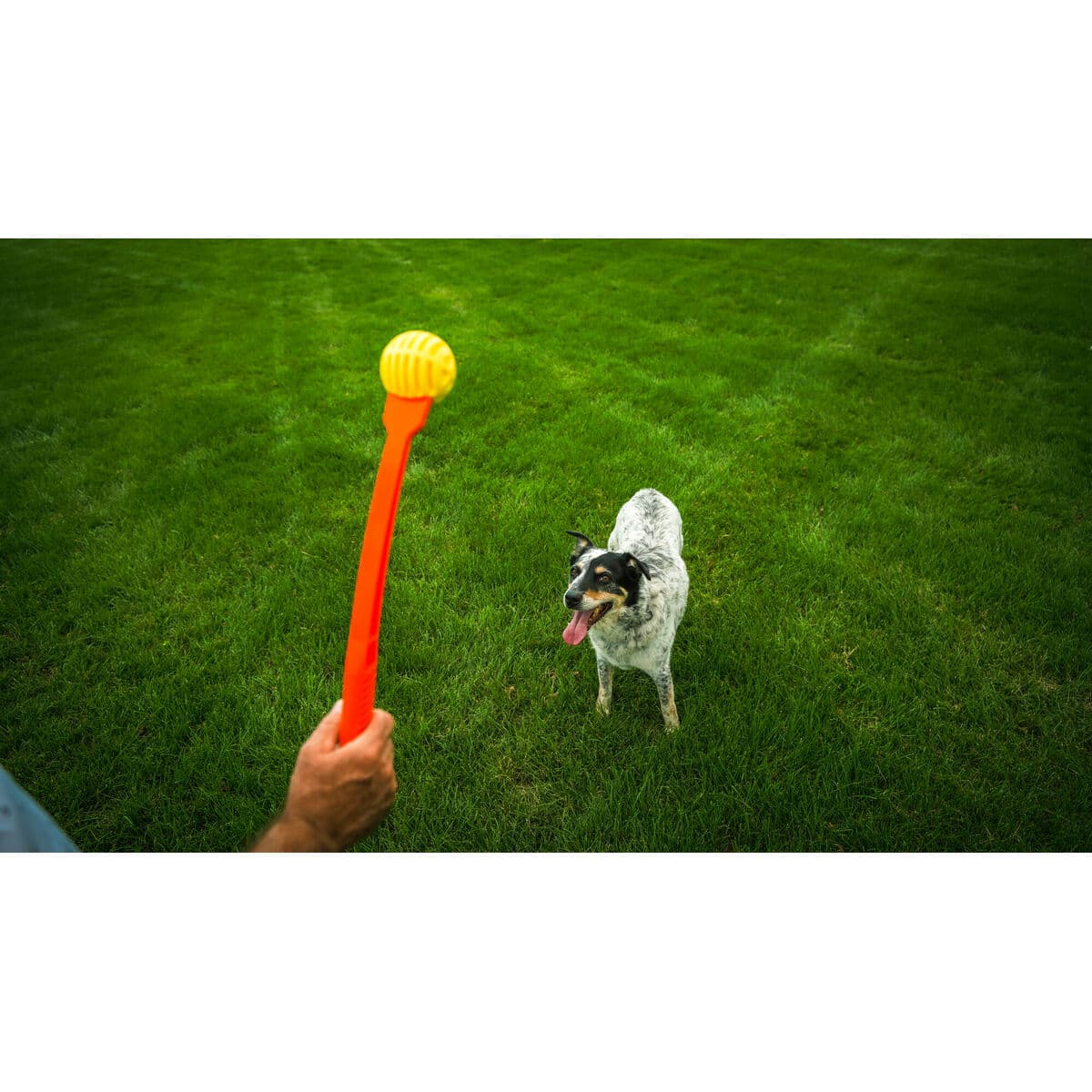 Ballwurfmaschine für Hunde Hunter Gelb Orange Gummi Bold - Thumbnail 3
