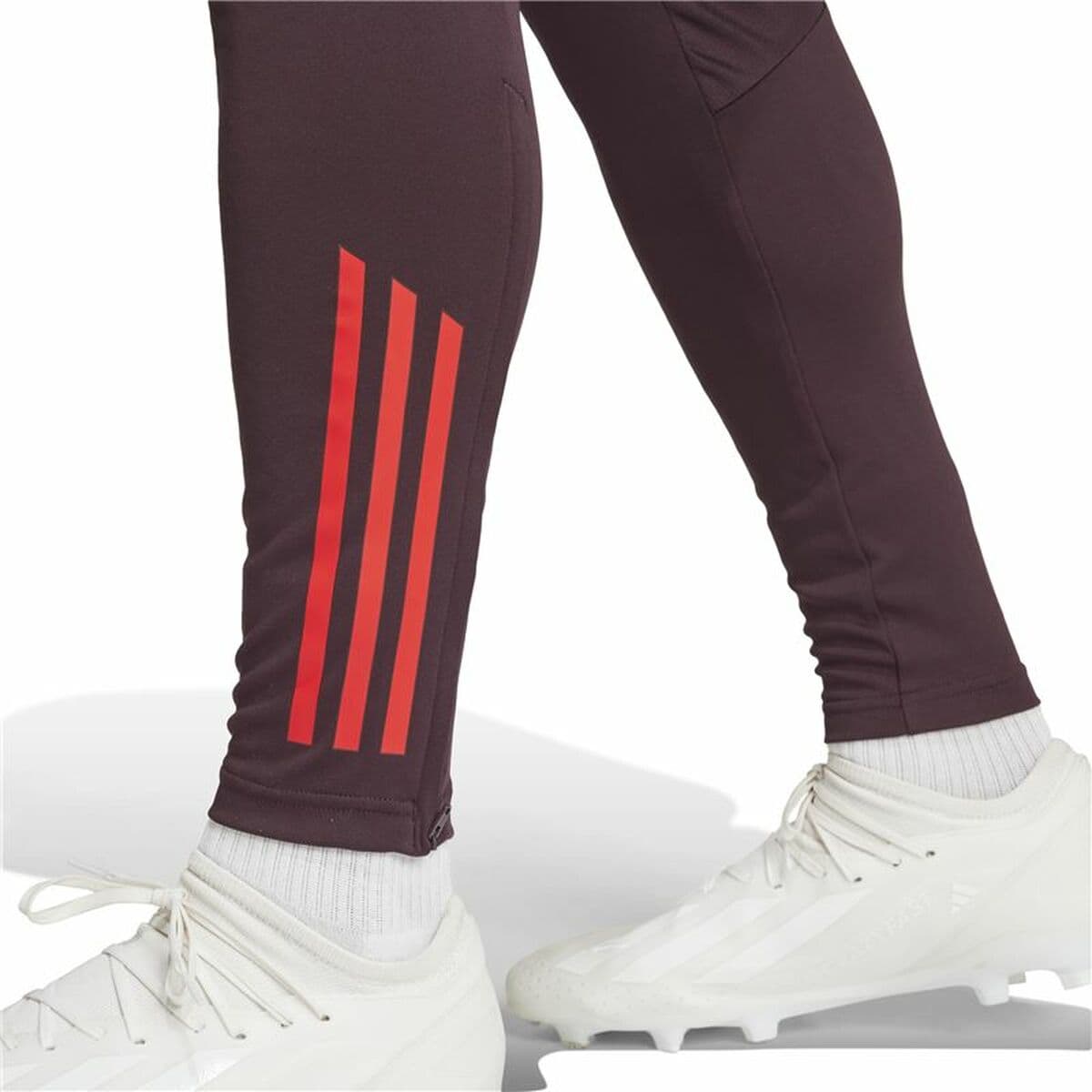 Lange Sporthose Adidas Fc Bayern 24/25 Tiro24 Braun Granatrot Herren - Thumbnail 7