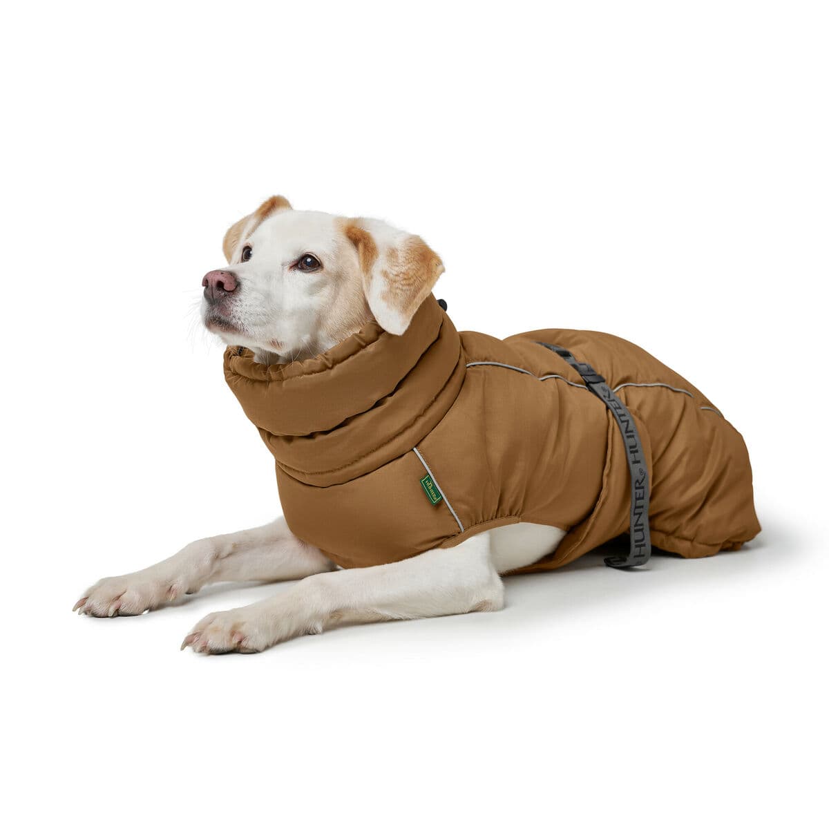 Kleidung für Haustiere Hunter PAXSON Braun Polyester - Thumbnail 4