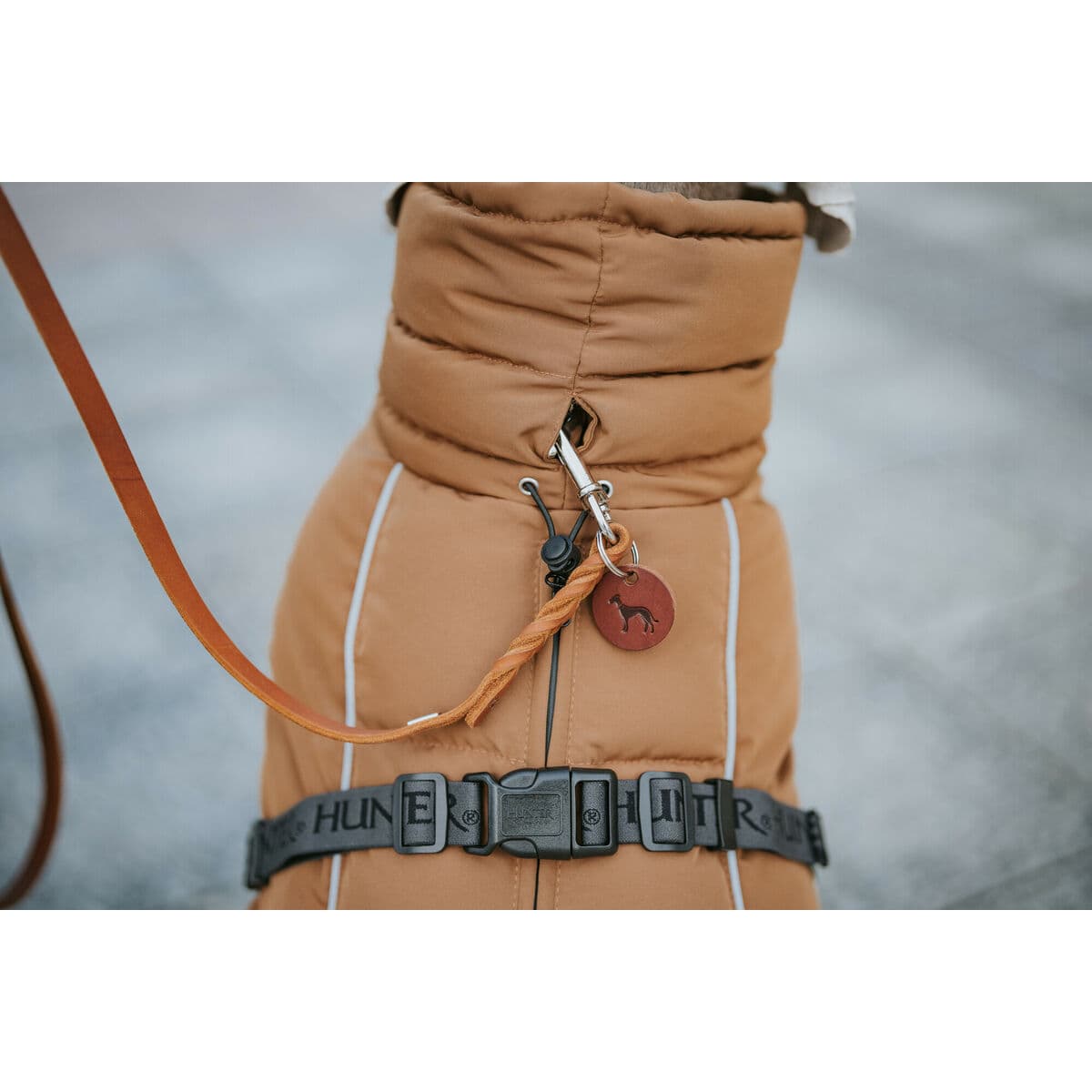 Kleidung für Haustiere Hunter PAXSON Braun Polyester - Thumbnail 7