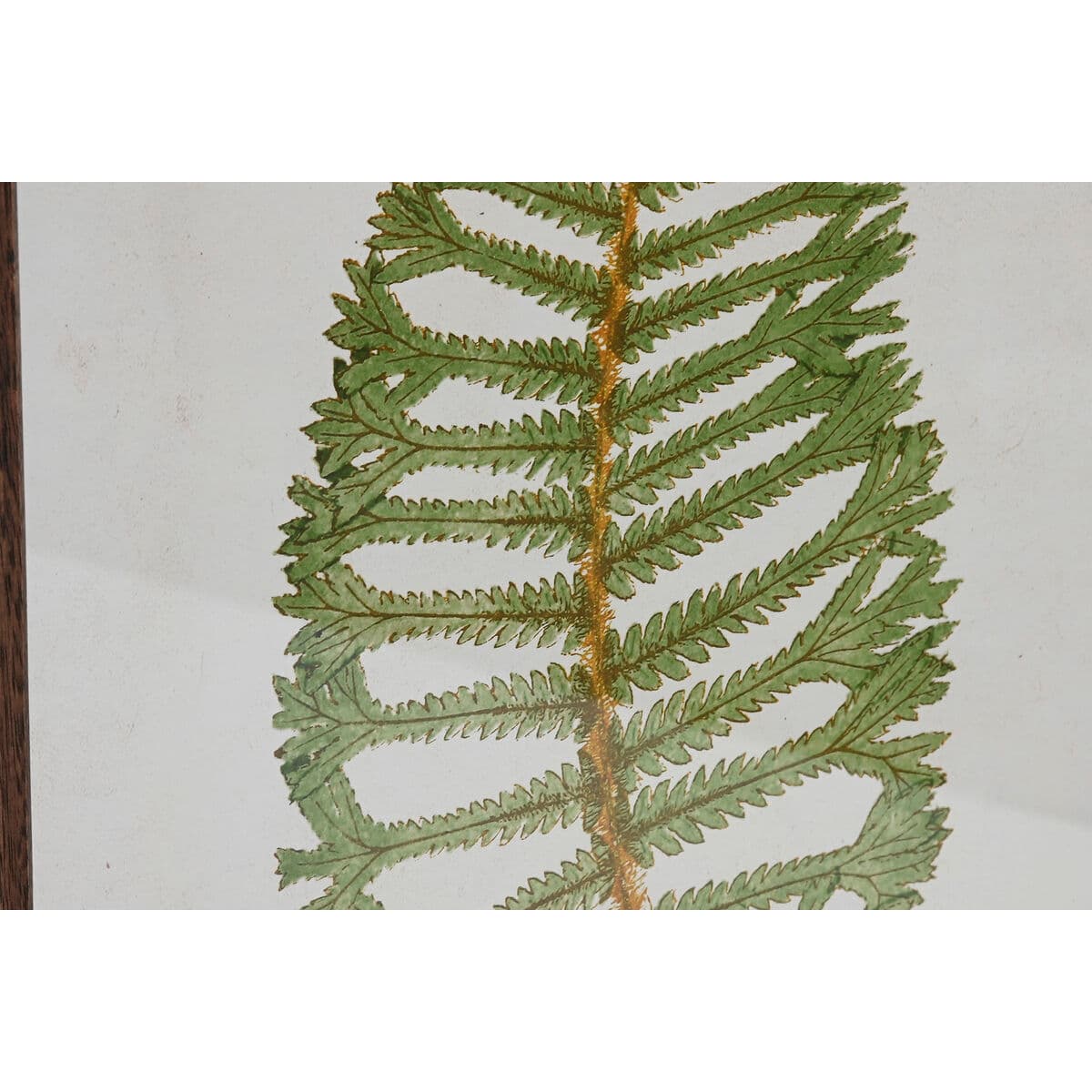 Bild Home ESPRIT Kristall Tanne 45 x 2,5 x 70 cm - Thumbnail 3