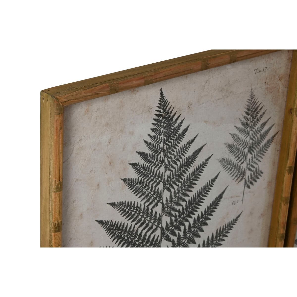 Bild Home ESPRIT Kristall Tanne 50 x 3 x 70 cm 50 x 2,5 x 70 cm - Thumbnail 2