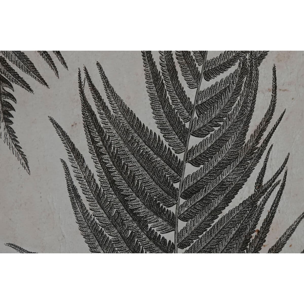 Bild Home ESPRIT Kristall Tanne 50 x 3 x 70 cm 50 x 2,5 x 70 cm - Thumbnail 3