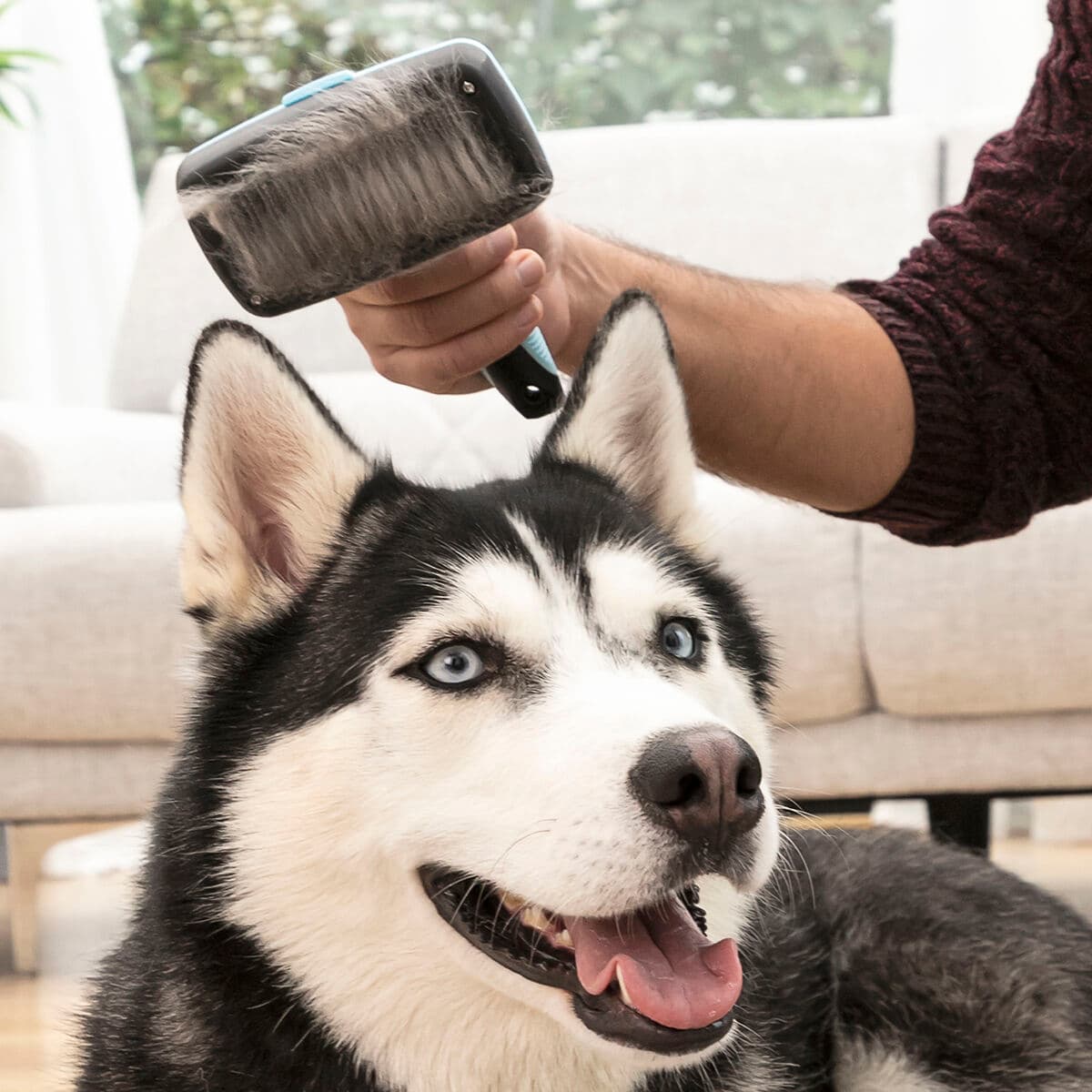 Reinigungsbürste für Haustiere, mit einziehbaren Borsten Groombot InnovaGoods - Thumbnail 3
