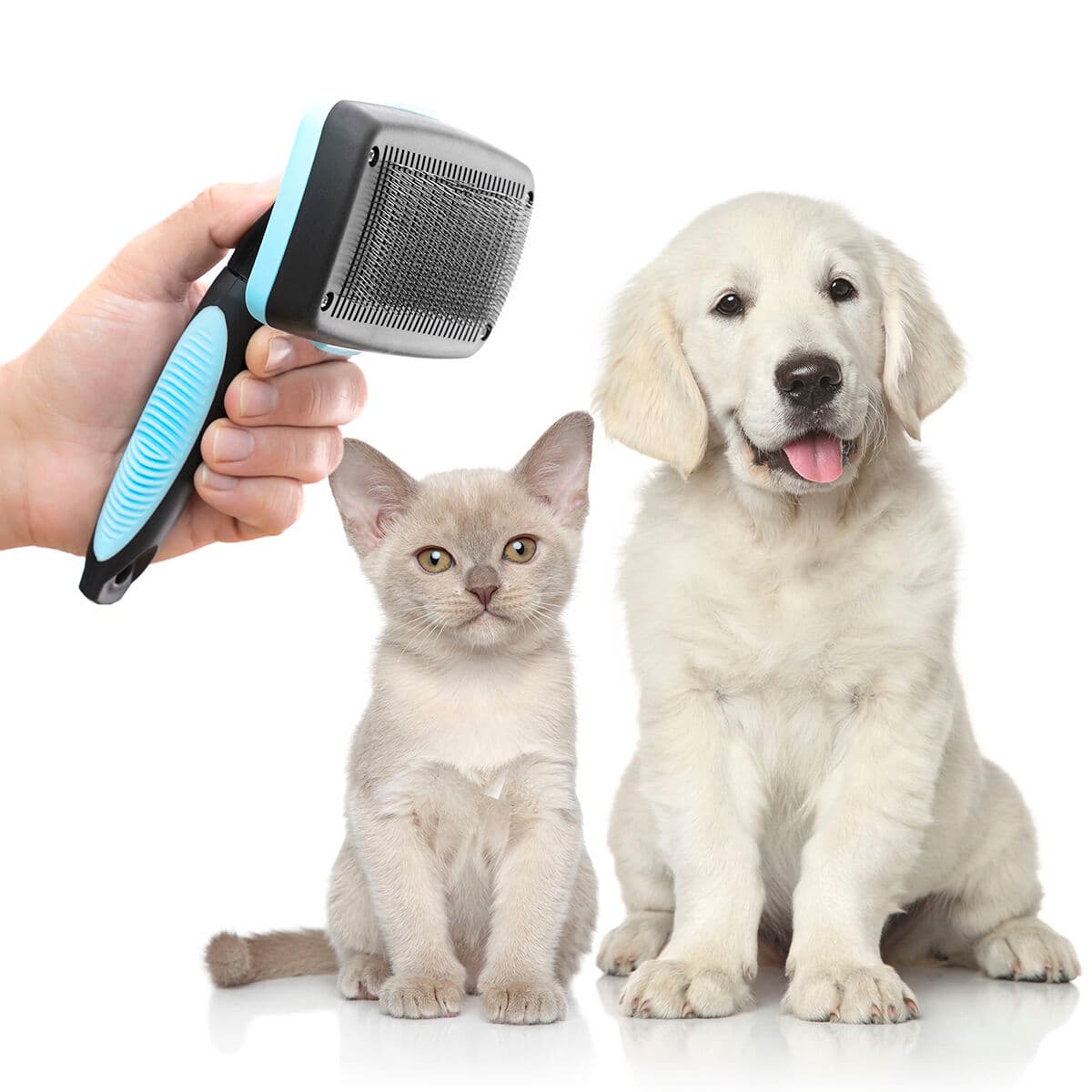 Reinigungsbürste für Haustiere, mit einziehbaren Borsten Groombot InnovaGoods - Thumbnail 7