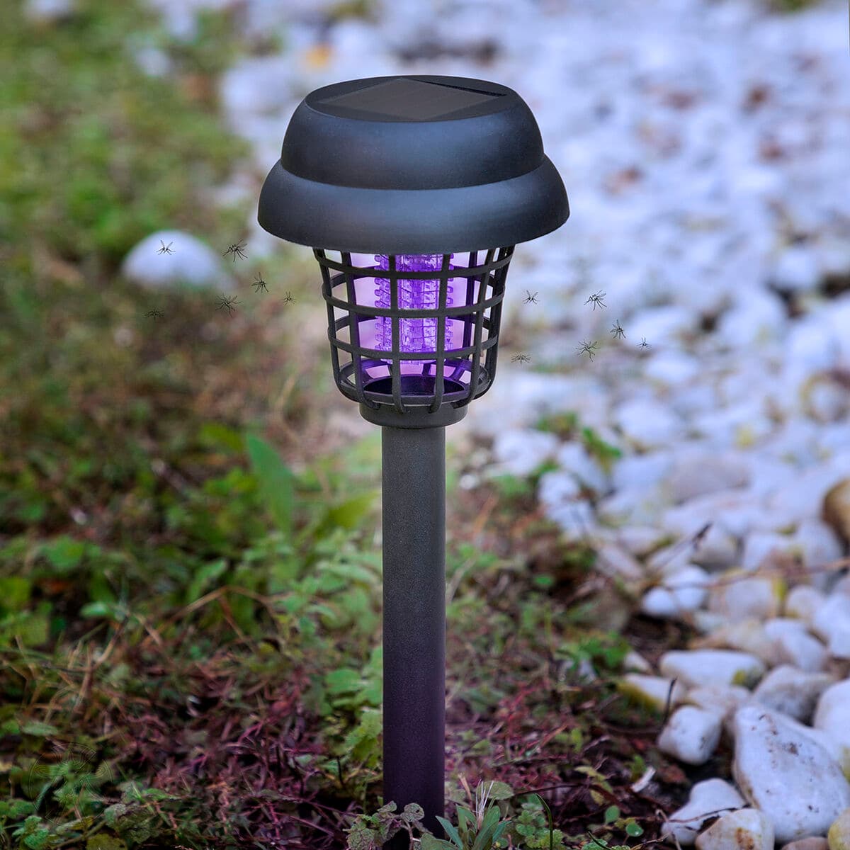 Solarbetriebene Lampe für den Garten gegen Mücken Garlam InnovaGoods - Thumbnail 2