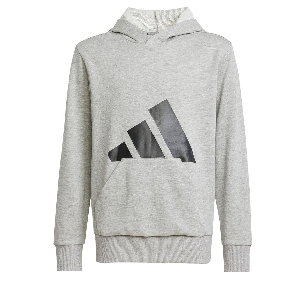 Sweatshirt mit Kapuze für Mädchen Adidas Big Logo French Terry Hd Hellgrau — Bild 1