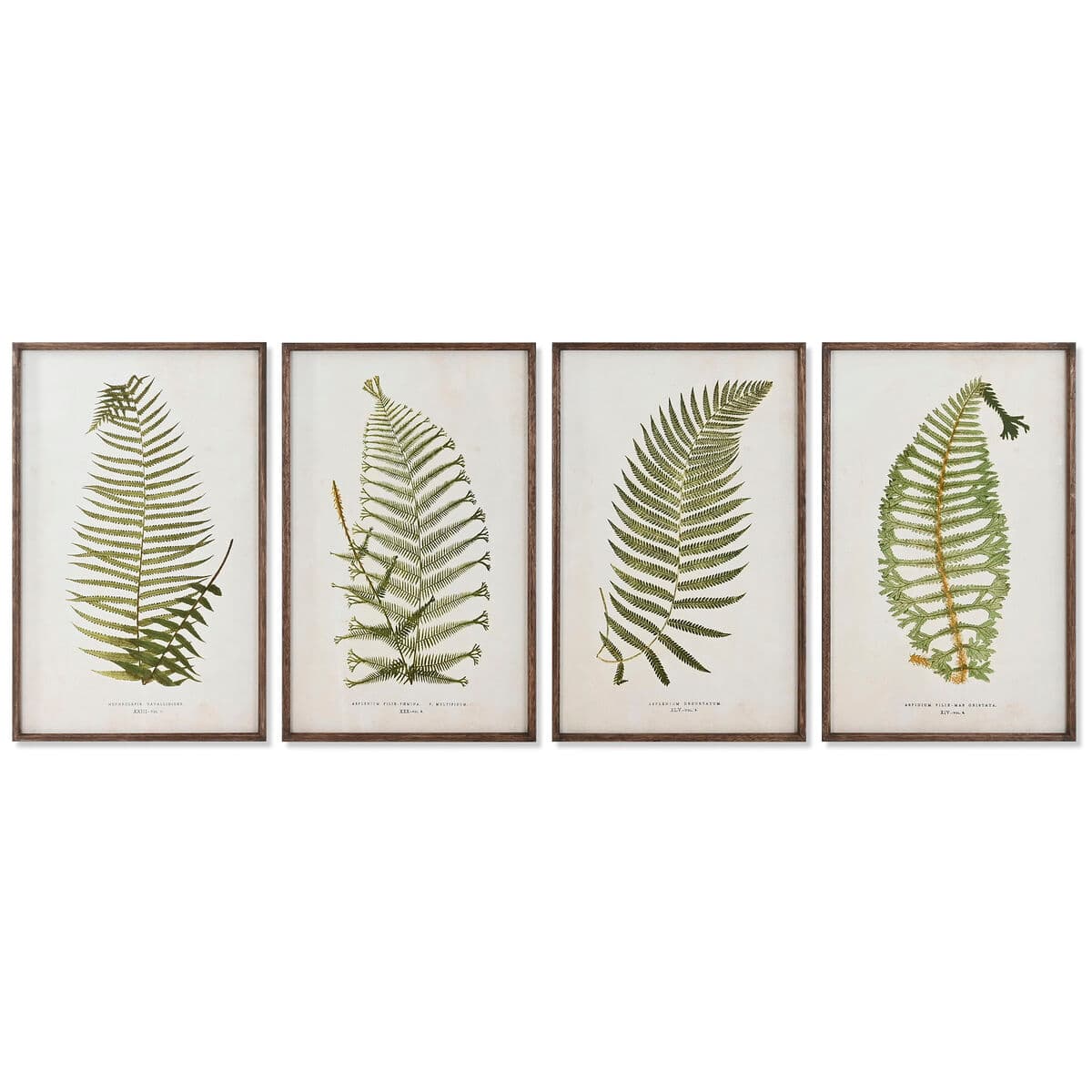 Bild Home ESPRIT Kristall Tanne 45 x 2,5 x 70 cm — Bild 1