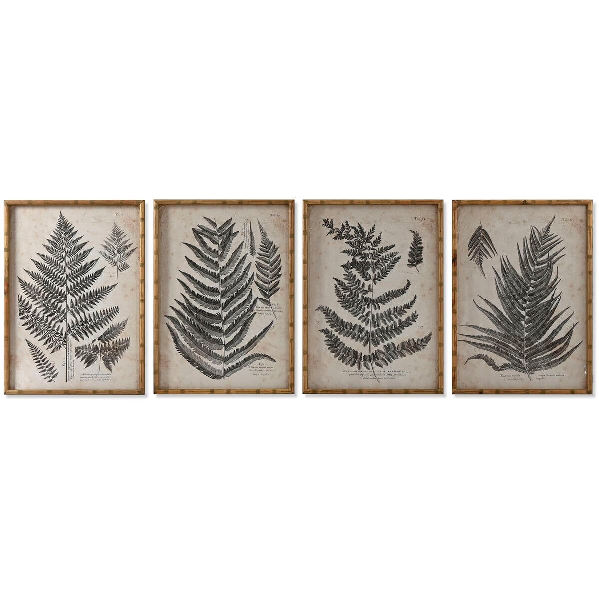 Bild Home ESPRIT Kristall Tanne 50 x 3 x 70 cm 50 x 2,5 x 70 cm — Bild 1
