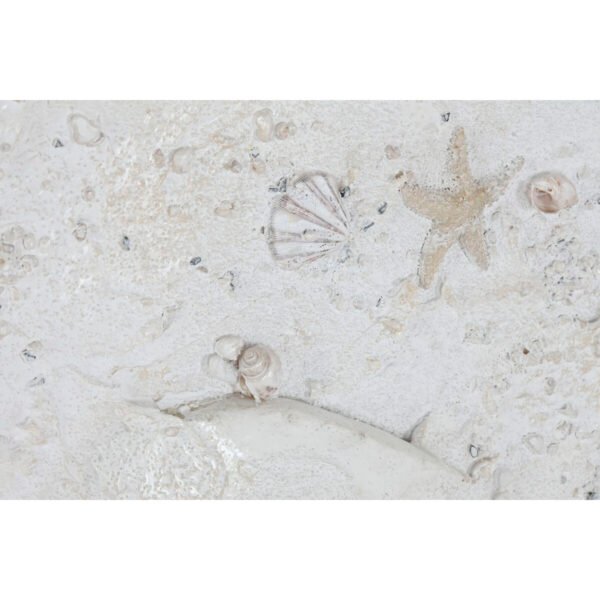 S3059919_2